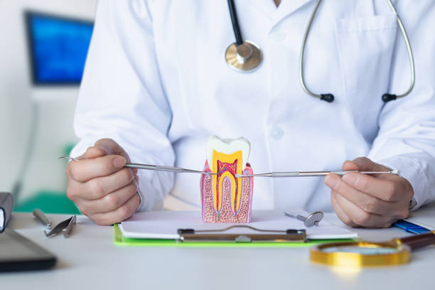 Best Urgent Care for Lost Fillings or Crowns in Fairborn, OH